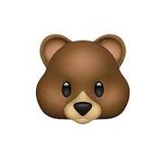 🐻 クマ