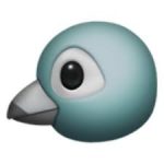 🐦  鳥