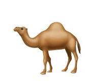 🐪 ラクダ