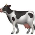 🐄 牛