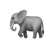 🐘 象