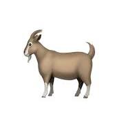 🐐 ヤギ