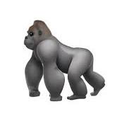 🦍 ゴリラ