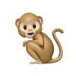 🐒 猿