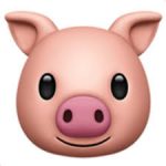 🐖  豚