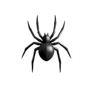 🕷️ クモ