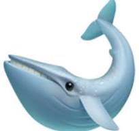 🐋  鯨