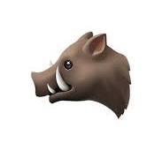 🐗 イノシシ