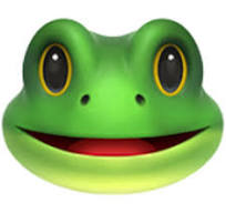 🐸  蛙