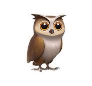 🦉 フクロウ