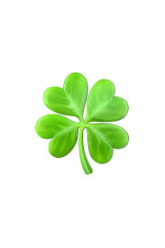 🍀 四つ葉のクローバー